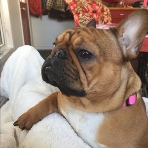 Meet your Posher, Heather